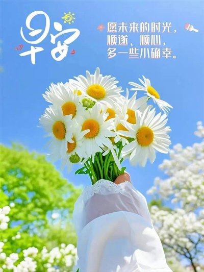 河南省鑫森源林業勘察規劃設計有限公司